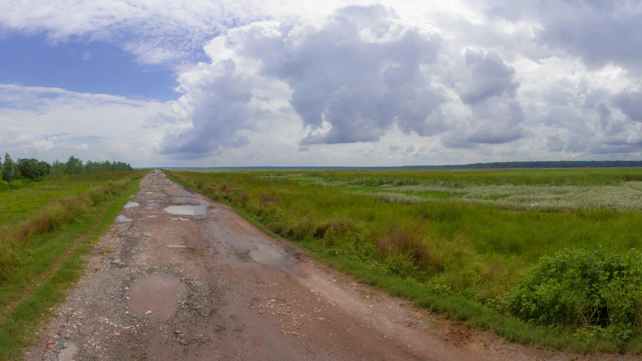 pilibhit_grasslands